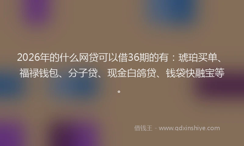 2026年的什么网贷可以借36期的有：琥珀买单、福禄钱包、分子贷、现金白鸽贷、钱袋快融宝等。