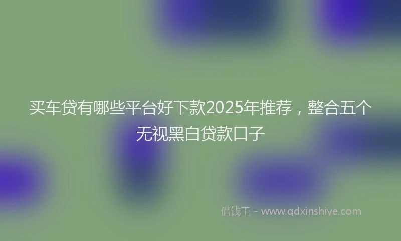 买车贷有哪些平台好下款2025年推荐，整合五个无视黑白贷款口子