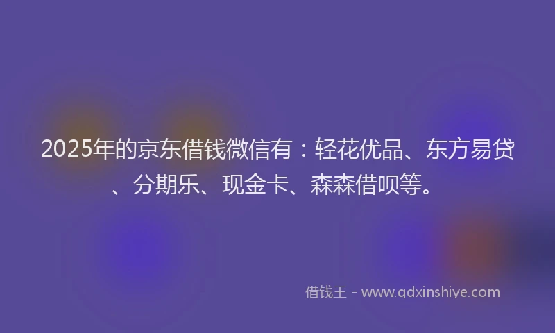 2025年的京东借钱微信有:轻花优品、东方易贷、分期乐、现金卡、森森借呗等。