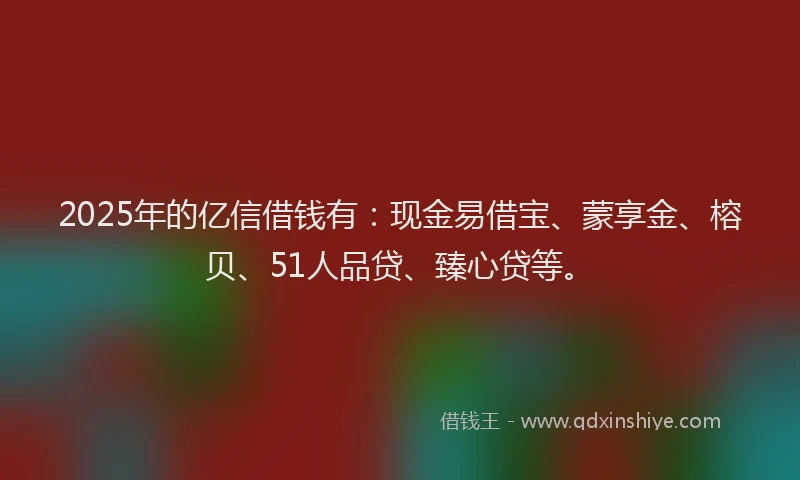 2025年的亿信借钱有：现金易借宝、蒙享金、榕贝、51人品贷、臻心贷等。