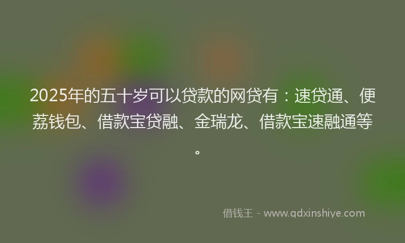 2025年的五十岁可以贷款的网贷有：速贷通、便荔钱包、借款宝贷融、金瑞龙、借款宝速融通等。