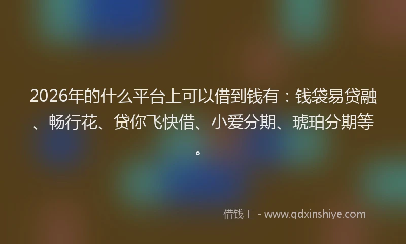 2026年的什么平台上可以借到钱有：钱袋易贷融、畅行花、贷你飞快借、小爱分期、琥珀分期等。
