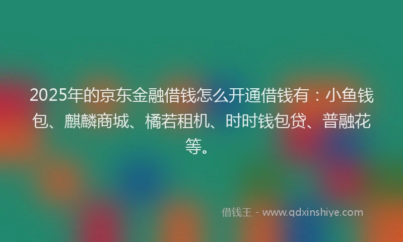 2025年的京东金融借钱怎么开通借钱有：小鱼钱包、麒麟商城、橘若租机、时时钱包贷、普融花等。