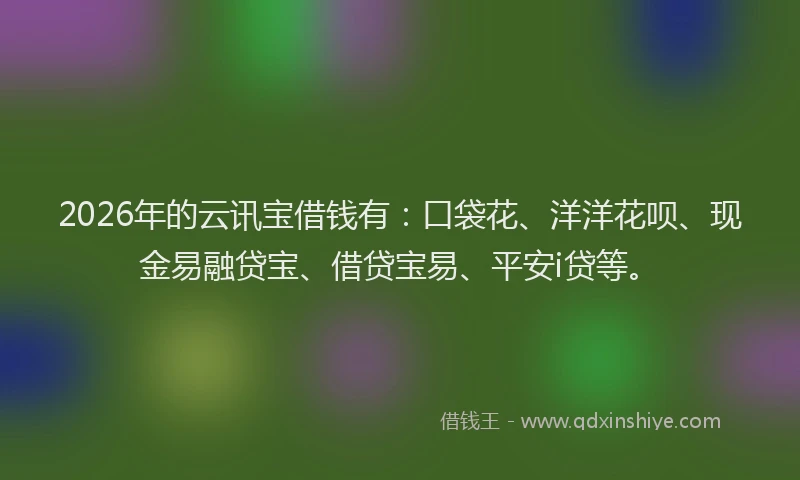 2026年的云讯宝借钱有：口袋花、洋洋花呗、现金易融贷宝、借贷宝易、平安i贷等。