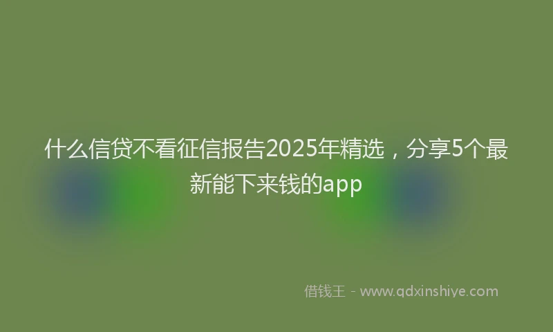 什么信贷不看征信报告2025年精选，分享5个最新能下来钱的app