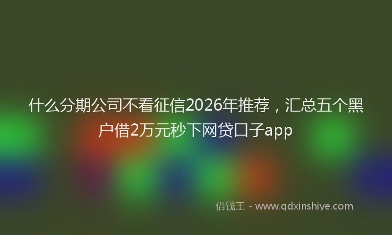 什么分期公司不看征信2026年推荐，汇总五个黑户借2万元秒下网贷口子app