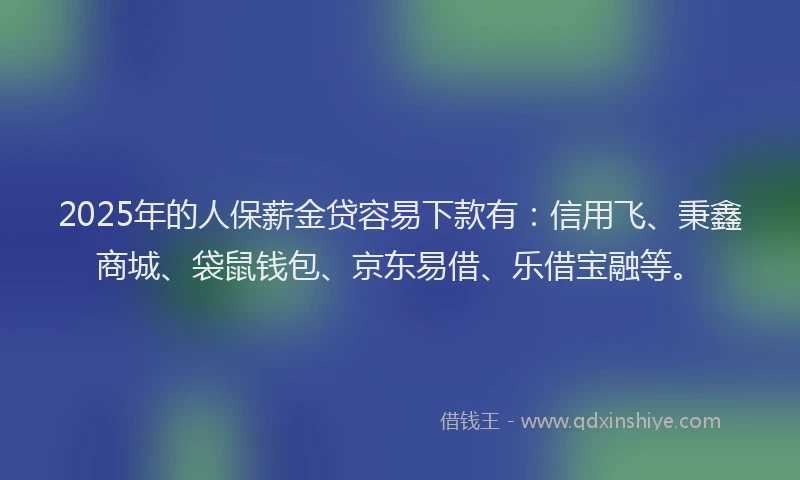 2025年的人保薪金贷容易下款有：信用飞、秉鑫商城、袋鼠钱包、京东易借、乐借宝融等。