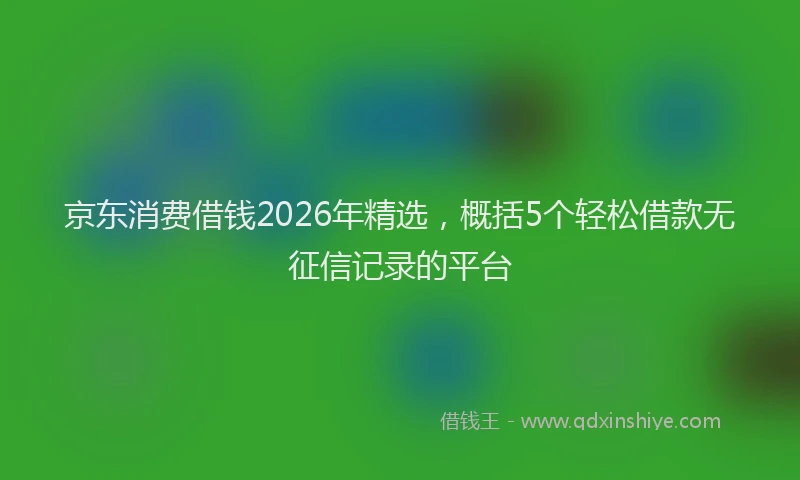 京东消费借钱2026年精选，概括5个轻松借款无征信记录的平台