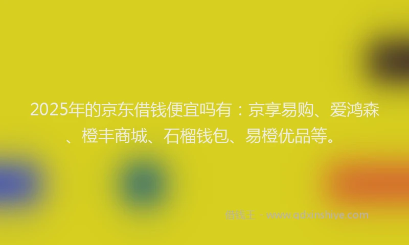 2025年的京东借钱便宜吗有：京享易购、爱鸿森、橙丰商城、石榴钱包、易橙优品等。