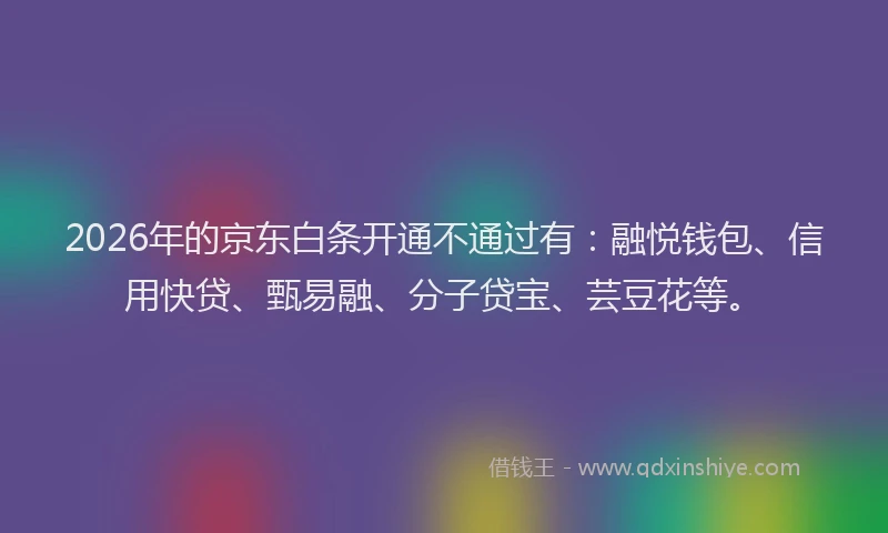 2026年的京东白条开通不通过有:融悦钱包、信用快贷、甄易融、分子贷宝、芸豆花等。