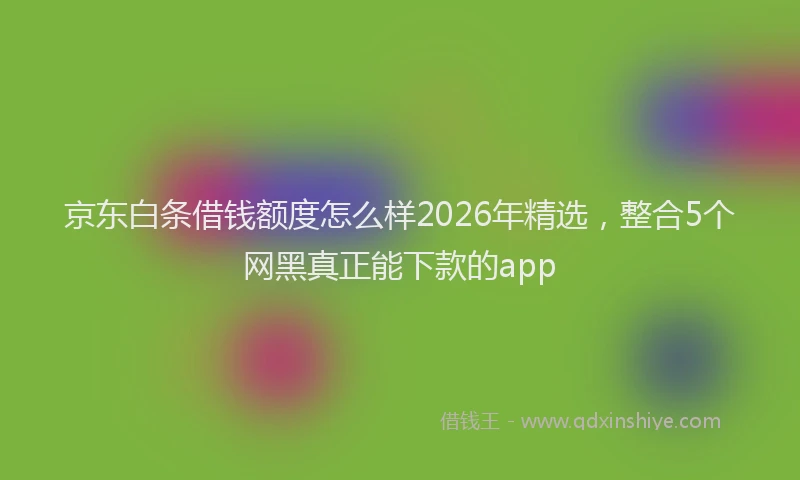 京东白条借钱额度怎么样2026年精选，整合5个网黑真正能下款的app