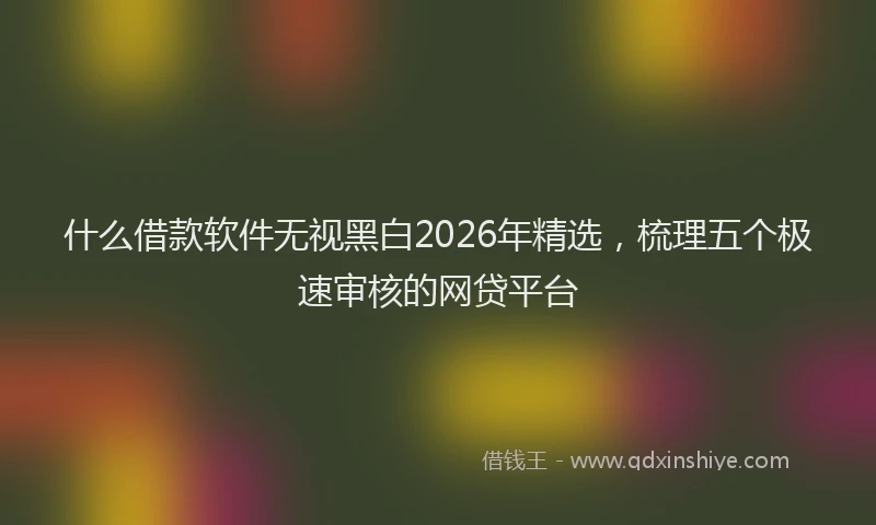 什么借款软件无视黑白2026年精选，梳理五个极速审核的网贷平台