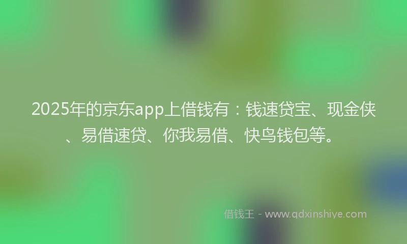 2025年的京东app上借钱有：钱速贷宝、现金侠、易借速贷、你我易借、快鸟钱包等。