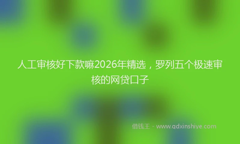 人工审核好下款嘛2026年精选，罗列五个极速审核的网贷口子