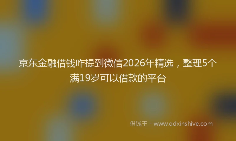 京东金融借钱咋提到微信2026年精选，整理5个满19岁可以借款的平台