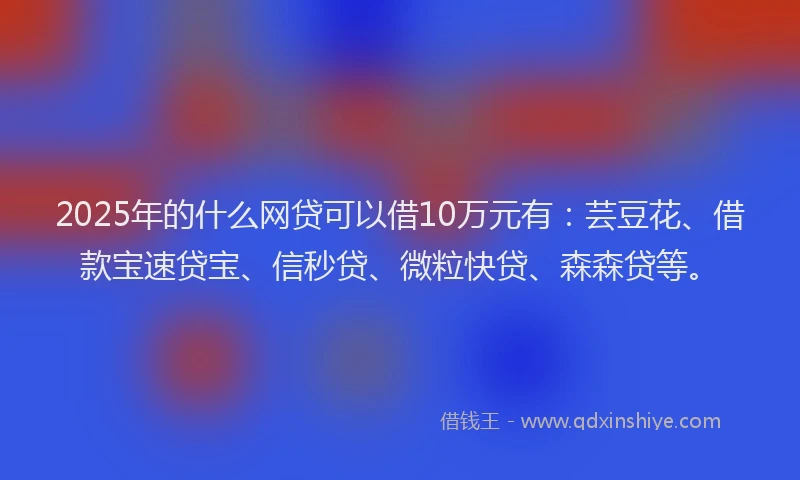 2025年的什么网贷可以借10万元有：芸豆花、借款宝速贷宝、信秒贷、微粒快贷、森森贷等。