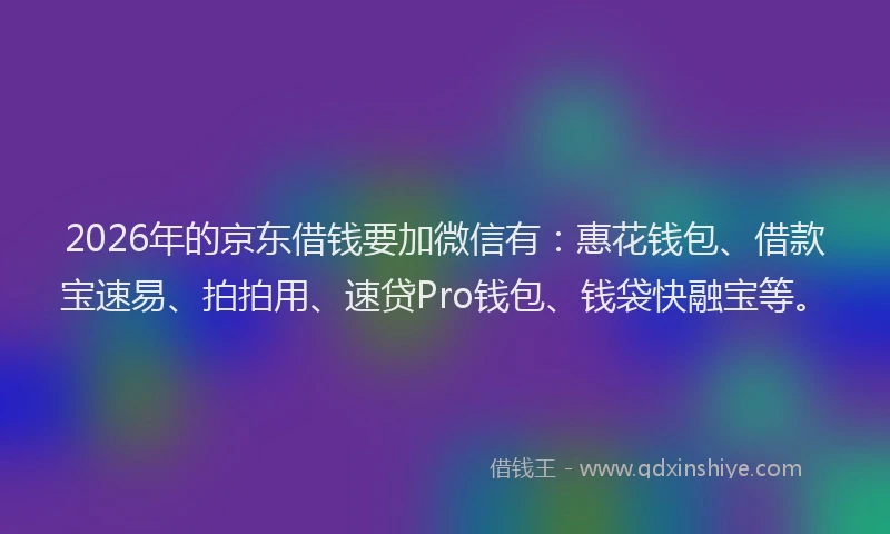 2026年的京东借钱要加微信有：惠花钱包、借款宝速易、拍拍用、速贷Pro钱包、钱袋快融宝等。