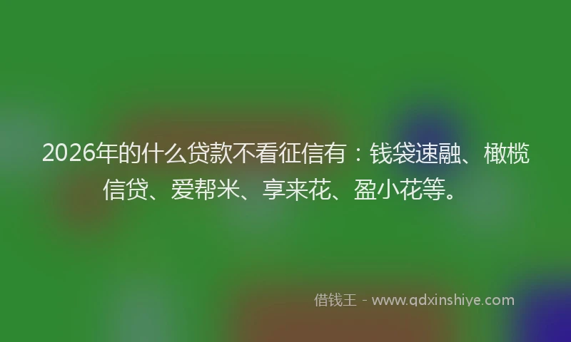 2026年的什么贷款不看征信有：钱袋速融、橄榄信贷、爱帮米、享来花、盈小花等。