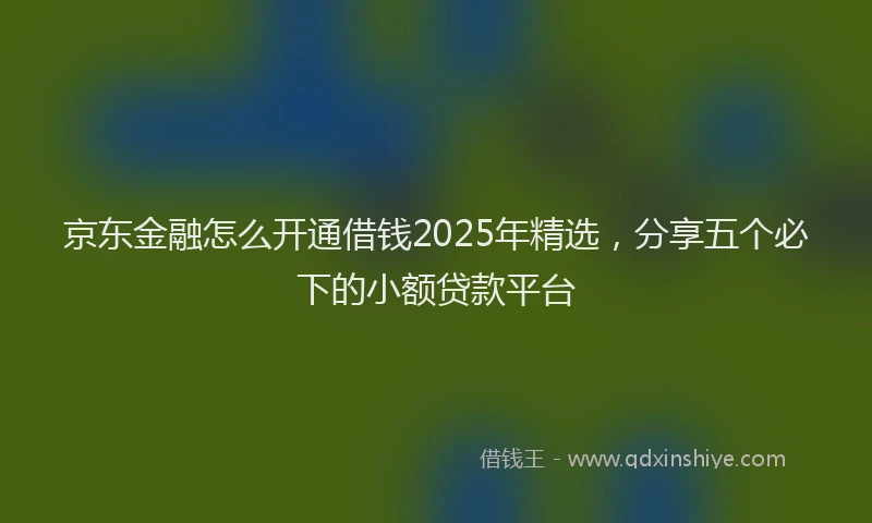 京东金融怎么开通借钱2025年精选，分享五个必下的小额贷款平台