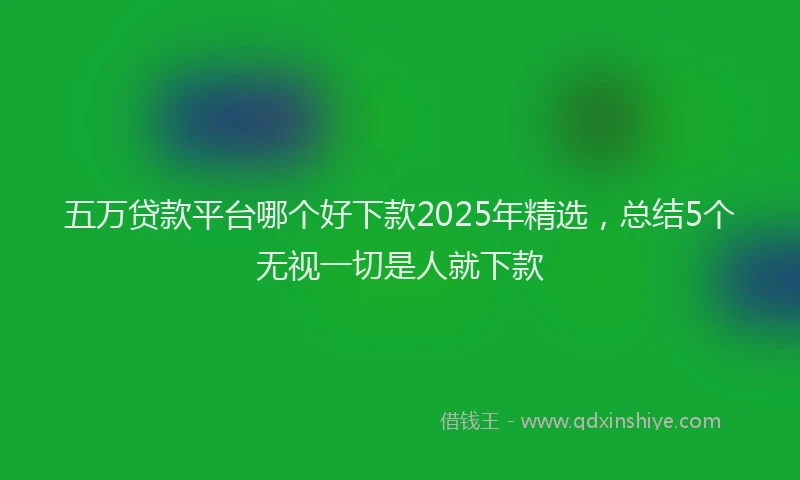 五万贷款平台哪个好下款2025年精选，总结5个无视一切是人就下款