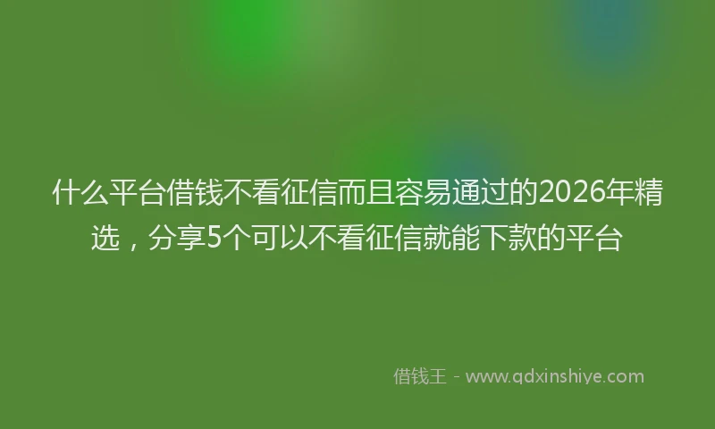 什么平台借钱不看征信而且容易通过的2026年精选,分享5个可以不看征信就能下款的平台