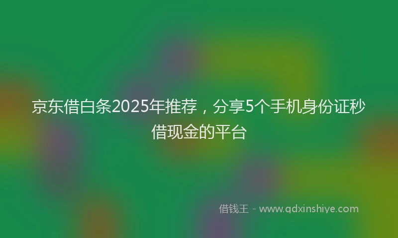 京东借白条2025年推荐，分享5个手机身份证秒借现金的平台