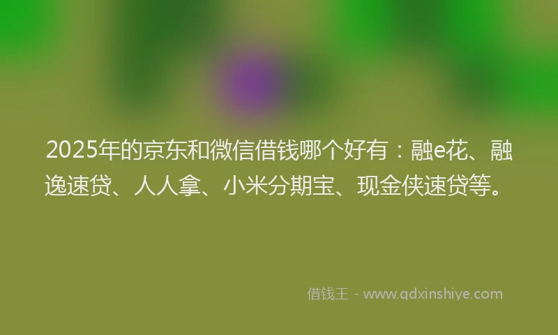 2025年的京东和微信借钱哪个好有：融e花、融逸速贷、人人拿、小米分期宝、现金侠速贷等。