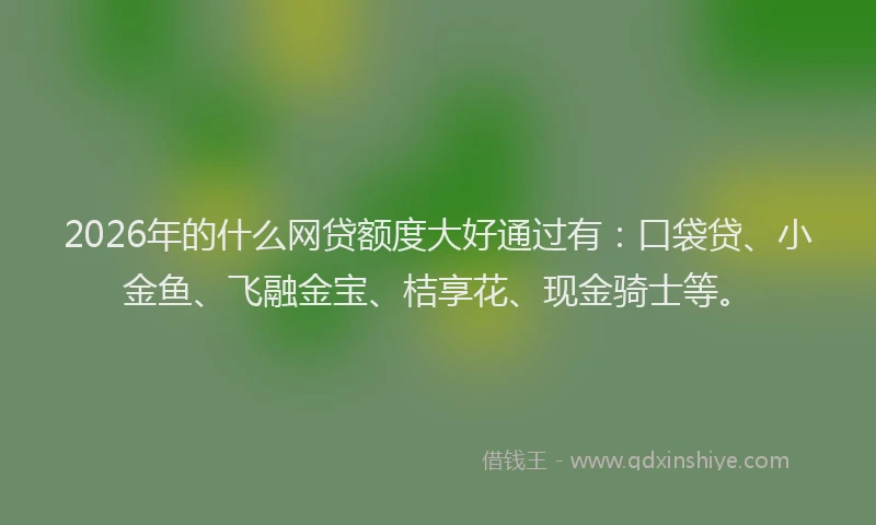 2026年的什么网贷额度大好通过有：口袋贷、小金鱼、飞融金宝、桔享花、现金骑士等。