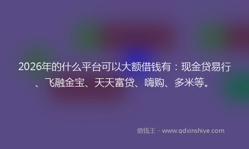 2026年的什么平台可以大额借钱有：现金贷易行、飞融金宝、天天富贷、嗨购、多米等。