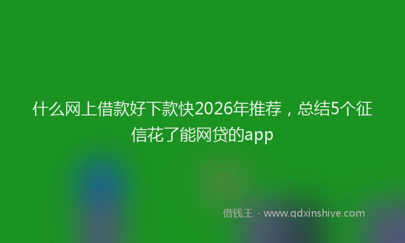 什么网上借款好下款快2026年推荐,总结5个征信花了能网贷的app