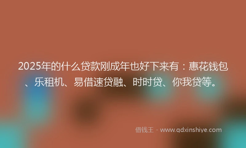 2025年的什么贷款刚成年也好下来有：惠花钱包、乐租机、易借速贷融、时时贷、你我贷等。