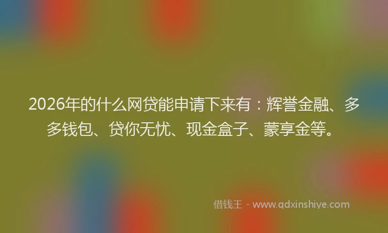 2026年的什么网贷能申请下来有：辉誉金融、多多钱包、贷你无忧、现金盒子、蒙享金等。