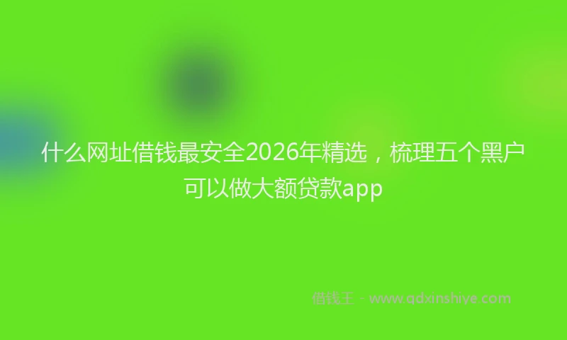 什么网址借钱最安全2026年精选，梳理五个黑户可以做大额贷款app
