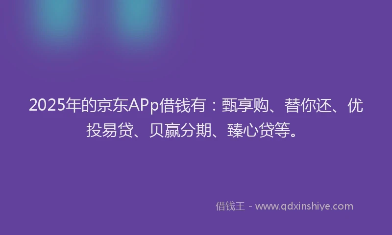 2025年的京东APp借钱有：甄享购、替你还、优投易贷、贝赢分期、臻心贷等。