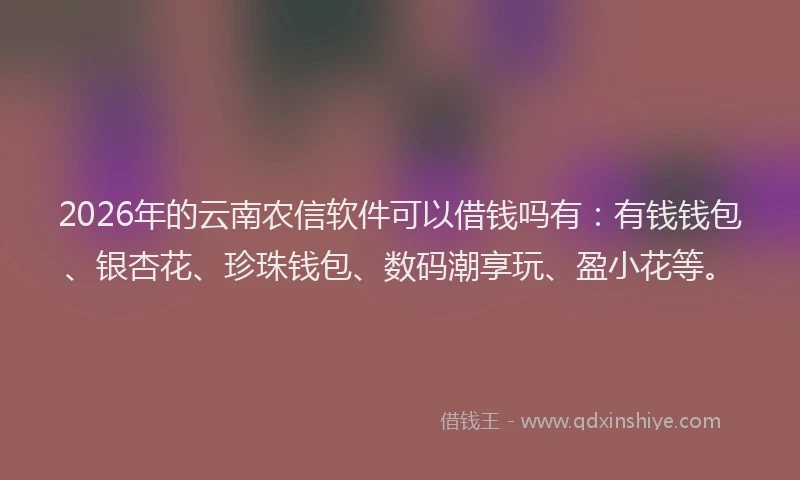 2026年的云南农信软件可以借钱吗有：有钱钱包、银杏花、珍珠钱包、数码潮享玩、盈小花等。