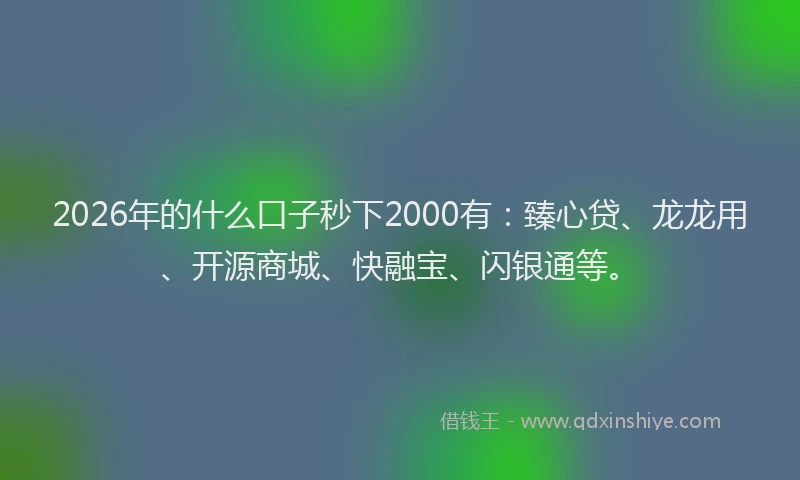 2026年的什么口子秒下2000有：臻心贷、龙龙用、开源商城、快融宝、闪银通等。