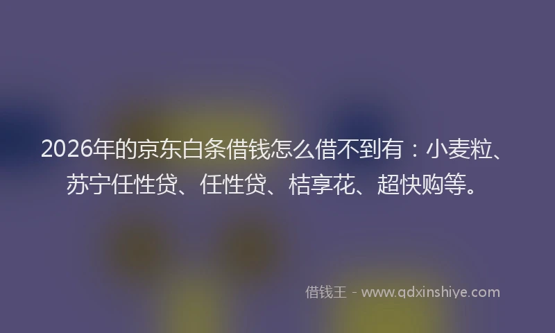 2026年的京东白条借钱怎么借不到有：小麦粒、苏宁任性贷、任性贷、桔享花、超快购等。