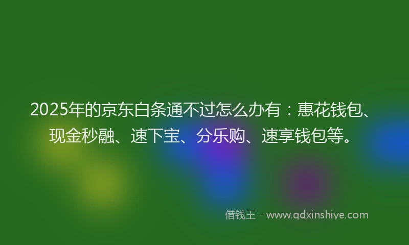 2025年的京东白条通不过怎么办有:惠花钱包、现金秒融、速下宝、分乐购、速享钱包等。