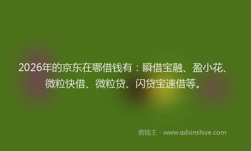 2026年的京东在哪借钱有：瞬借宝融、盈小花、微粒快借、微粒贷、闪贷宝速借等。