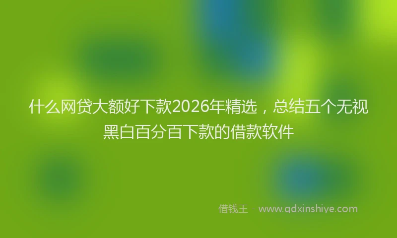 什么网贷大额好下款2026年精选,总结五个无视黑白百分百下款的借款软件