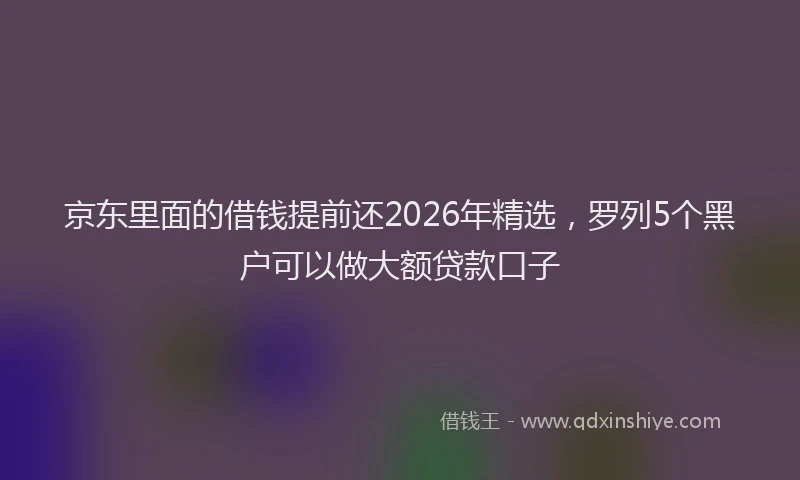 京东里面的借钱提前还2026年精选，罗列5个黑户可以做大额贷款口子