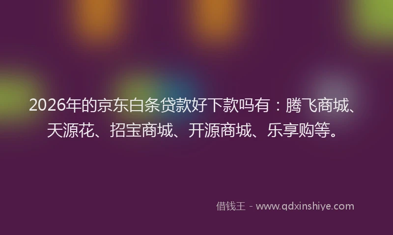 2026年的京东白条贷款好下款吗有：腾飞商城、天源花、招宝商城、开源商城、乐享购等。