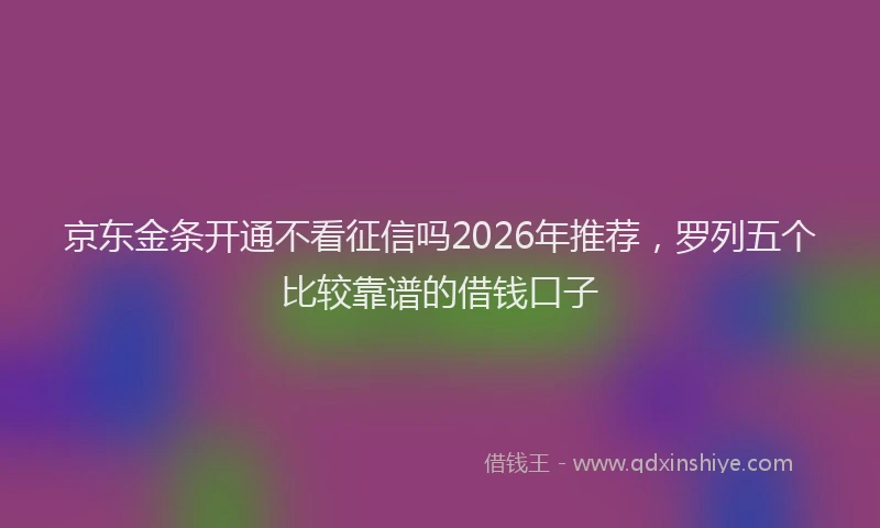 京东金条开通不看征信吗2026年推荐，罗列五个比较靠谱的借钱口子