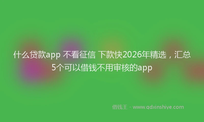 什么贷款app 不看征信 下款快2026年精选，汇总5个可以借钱不用审核的app