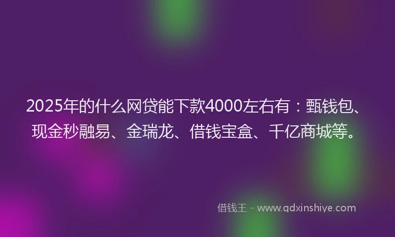 2025年的什么网贷能下款4000左右有：甄钱包、现金秒融易、金瑞龙、借钱宝盒、千亿商城等。