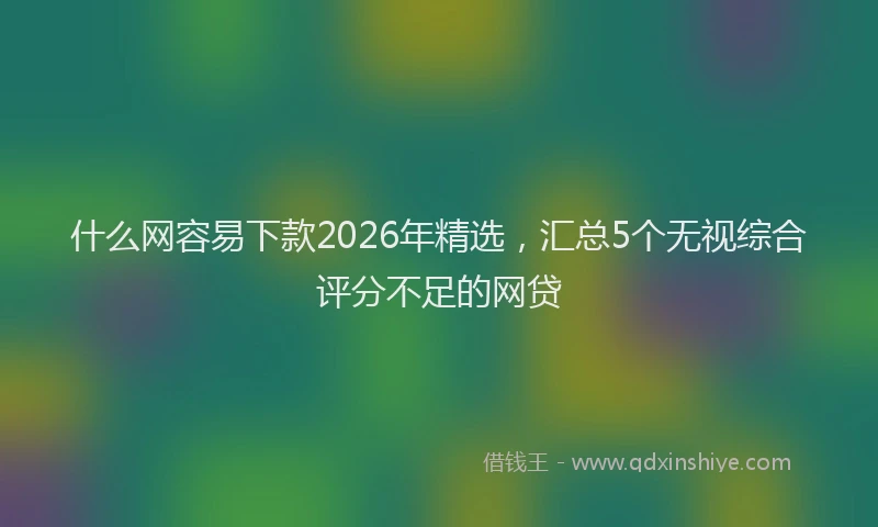 什么网容易下款2026年精选，汇总5个无视综合评分不足的网贷