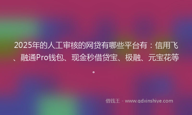 2025年的人工审核的网贷有哪些平台有：信用飞、融通Pro钱包、现金秒借贷宝、极融、元宝花等。