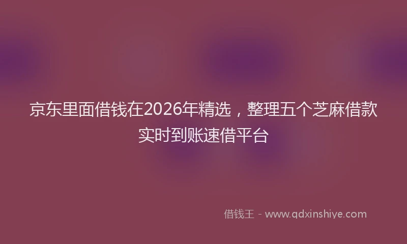 京东里面借钱在2026年精选，整理五个芝麻借款实时到账速借平台