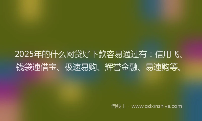 2025年的什么网贷好下款容易通过有：信用飞、钱袋速借宝、极速易购、辉誉金融、易速购等。