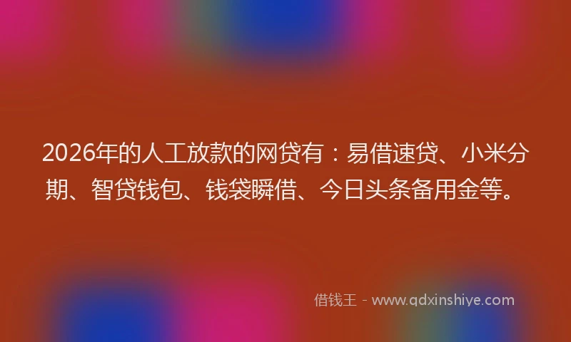 2026年的人工放款的网贷有：易借速贷、小米分期、智贷钱包、钱袋瞬借、今日头条备用金等。